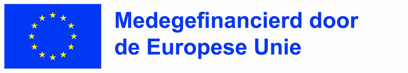 EU-logo met tekst: medegefinancierd door de Europese Unie