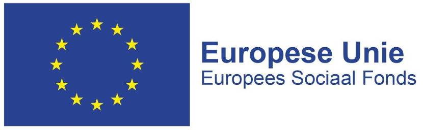 Embleem van de Europese vlag met de tekst Europees Sociaal Fonds